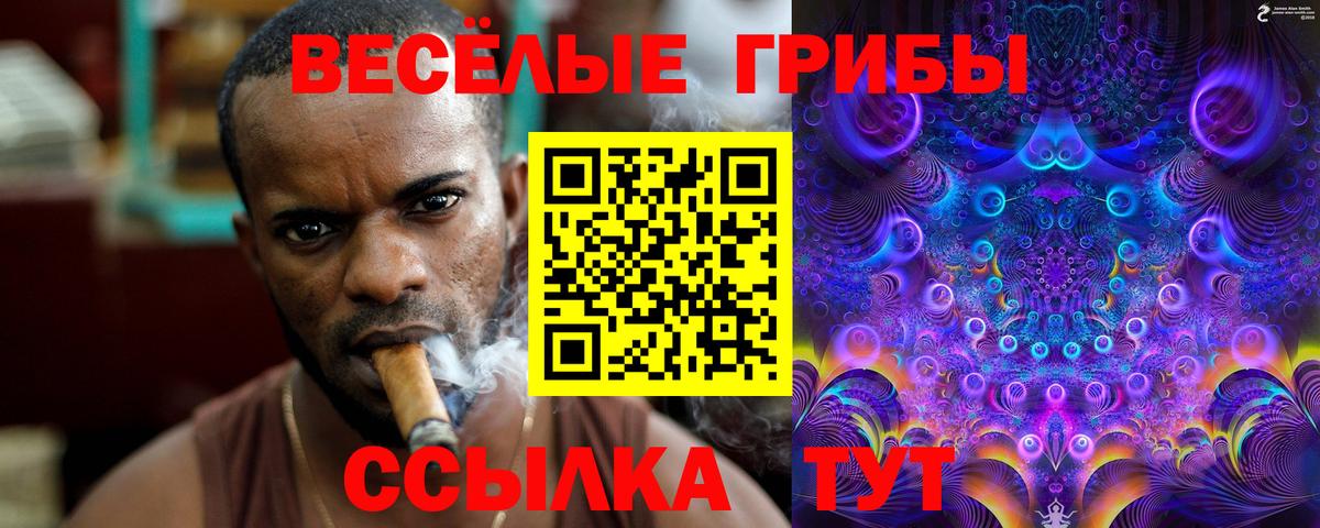 Галлюциногенные грибы Psilocybe Холмск